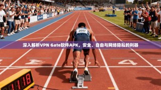 深入解析VPN Gate软件APK，安全、自由与网络隐私的利器