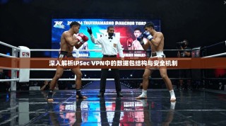 深入解析IPSec VPN中的数据包结构与安全机制
