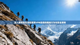 深入解析指定进程使用VPN连接的网络行为与安全策略
