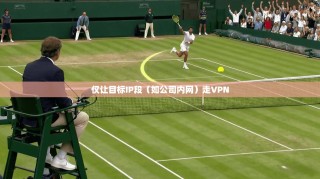 仅让目标IP段（如公司内网）走VPN