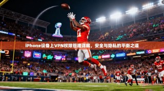 iPhone设备上VPN权限管理详解，安全与隐私的平衡之道