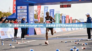 深入解析VPN Exchange GAL，企业安全通信与高效协作的新引擎