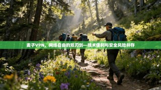 麦子VPN，网络自由的双刃剑—技术便利与安全风险并存