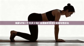 海豚VPN一个月多少钱？全面解析其定价策略与性价比