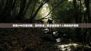 家庭VPN方案详解，如何安全、稳定地搭建个人网络防护屏障
