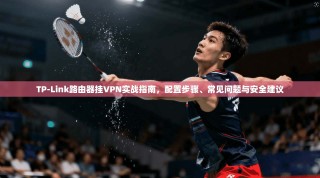 TP-Link路由器挂VPN实战指南，配置步骤、常见问题与安全建议