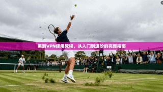 黑洞VPN使用教程，从入门到进阶的完整指南