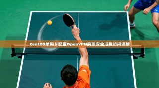 CentOS单网卡配置OpenVPN实现安全远程访问详解