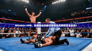 Windeln VPN，隐藏身份的数字尿布还是网络安全陷阱？