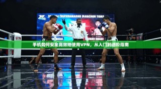 手机如何安全高效地使用VPN，从入门到进阶指南
