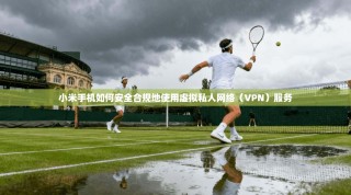 小米手机如何安全合规地使用虚拟私人网络（VPN）服务