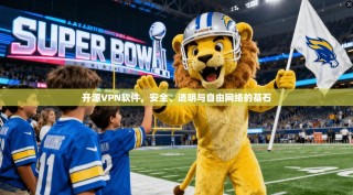 开源VPN软件，安全、透明与自由网络的基石