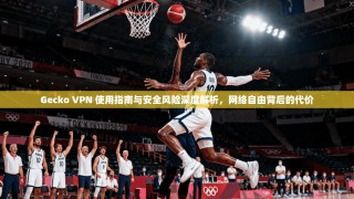 Gecko VPN 使用指南与安全风险深度解析，网络自由背后的代价
