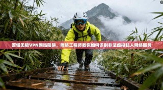警惕无极VPN网站陷阱，网络工程师教你如何识别非法虚拟私人网络服务