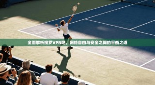 全面解析搜罗VPN吧，网络自由与安全之间的平衡之道
