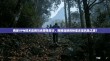 两岸VPN技术应用与合规性探讨，网络连接的桥梁还是风险之源？