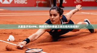 大麦盒子与VPN，网络访问的便捷之选还是风险陷阱？