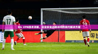 SSL VPN技术详解，企业安全远程访问的现代解决方案