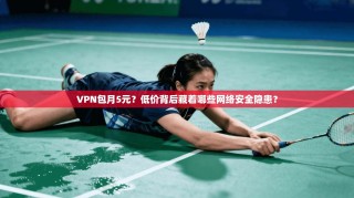 VPN包月5元？低价背后藏着哪些网络安全隐患？