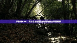 手软吧VPN，网络自由的便捷陷阱与安全风险解析