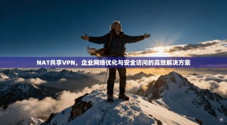 NAT共享VPN，企业网络优化与安全访问的高效解决方案