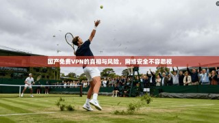 国产免费VPN的真相与风险，网络安全不容忽视