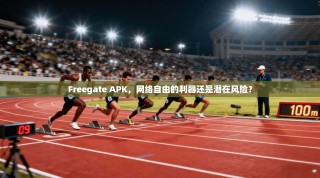 Freegate APK，网络自由的利器还是潜在风险？