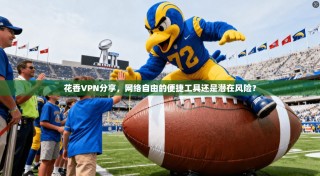 花香VPN分享，网络自由的便捷工具还是潜在风险？