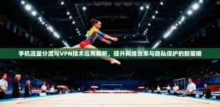 手机流量分流与VPN技术应用解析，提升网络效率与隐私保护的新策略