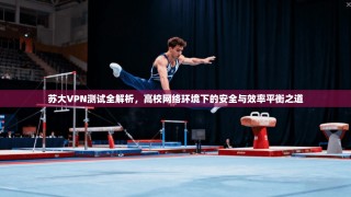 苏大VPN测试全解析，高校网络环境下的安全与效率平衡之道