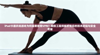 iPad卡通农场游戏为何需要使用VPN？网络工程师解析背后的技术逻辑与安全考量