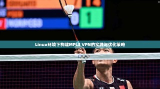 Linux环境下构建MPLS VPN的实践与优化策略