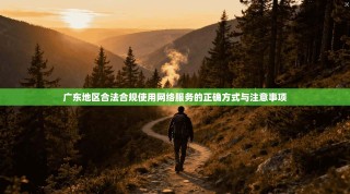 广东地区合法合规使用网络服务的正确方式与注意事项