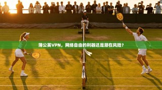 薄公英VPN，网络自由的利器还是潜在风险？
