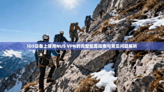 iOS设备上使用NUS VPN的完整配置指南与常见问题解析