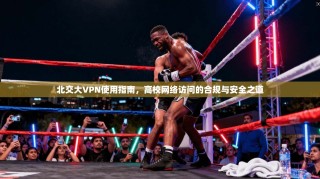 北交大VPN使用指南，高校网络访问的合规与安全之道
