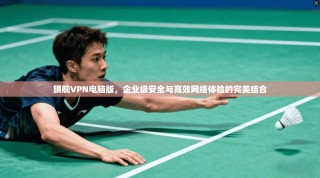 旗舰VPN电脑版，企业级安全与高效网络体验的完美结合