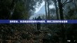 如何安全、合法地选择和使用VPN服务，网络工程师的专业指南