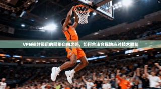 VPN被封锁后的网络自由之路，如何合法合规地应对技术限制