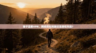 锤子坚果VPN，网络优化利器还是潜在风险？