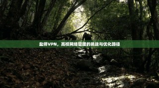 盐师VPN，高校网络管理的挑战与优化路径