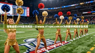 警惕虚假VPN服务网站—以www.91vpn.com.cn为例解析网络安全风险