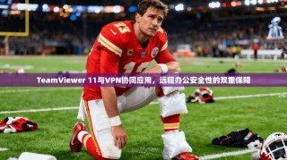 TeamViewer 11与VPN协同应用，远程办公安全性的双重保障