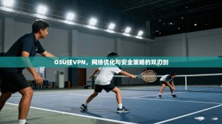 OSU挂VPN，网络优化与安全策略的双刃剑
