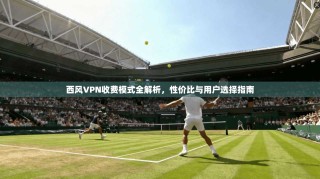 西风VPN收费模式全解析，性价比与用户选择指南