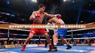 欧洲平板用户如何安全合规地使用VPN服务—网络工程师的专业建议