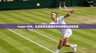 Suppe-VPN，企业级安全隧道技术的革新与应用实践