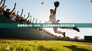 香港专线VPN 100M，企业跨境网络连接的高效之选