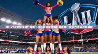 绿叶VPN如何使用？网络工程师带你全面解析其原理、使用方法与注意事项