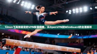 Linux下高效稳定的VPN配置指南，从OpenVPN到WireGuard的全面解析